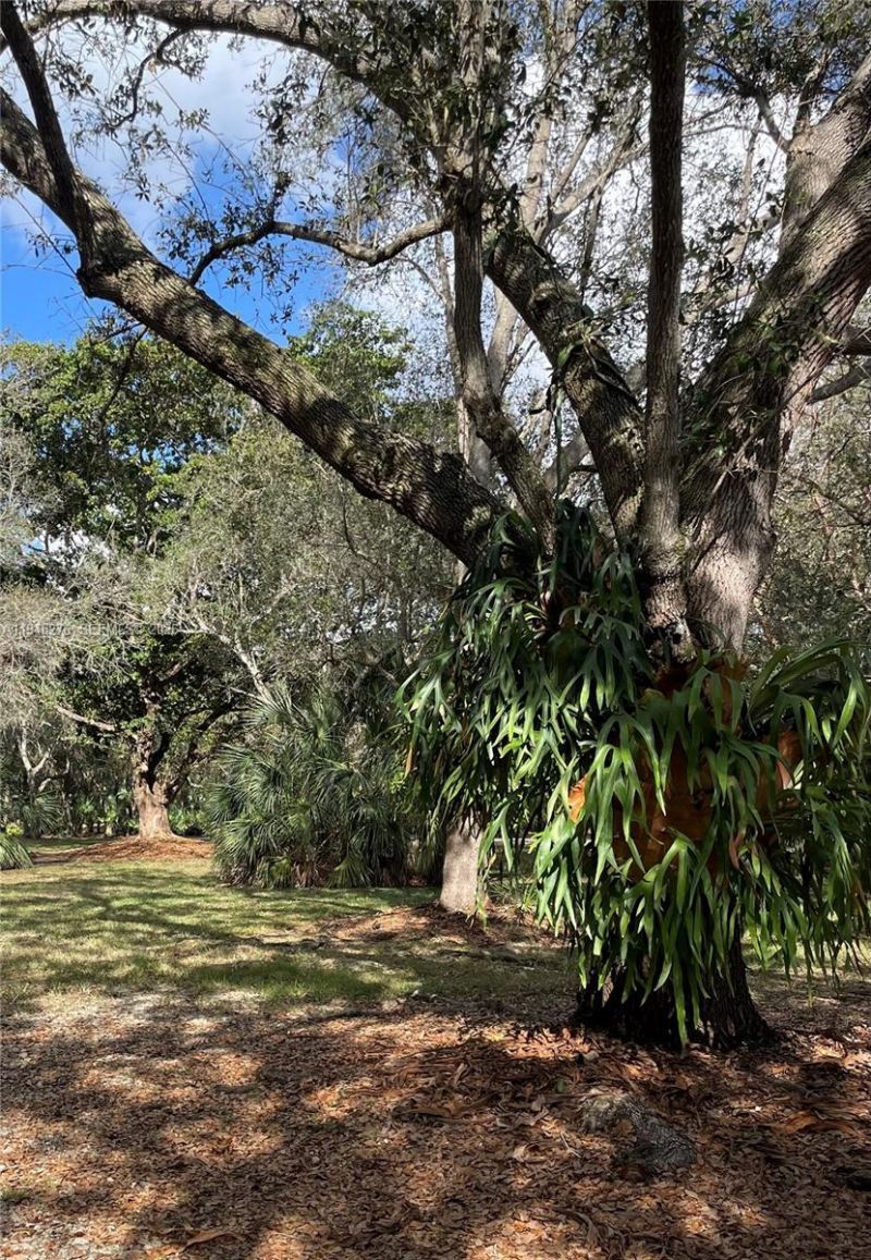 16930 SW 266th Ter, Homestead, FL 33031 Photo