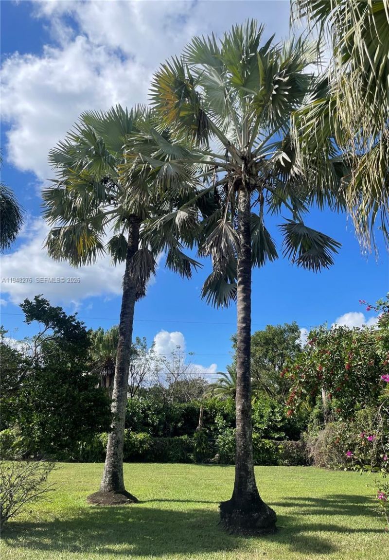 16930 SW 266th Ter, Homestead, FL 33031 Photo