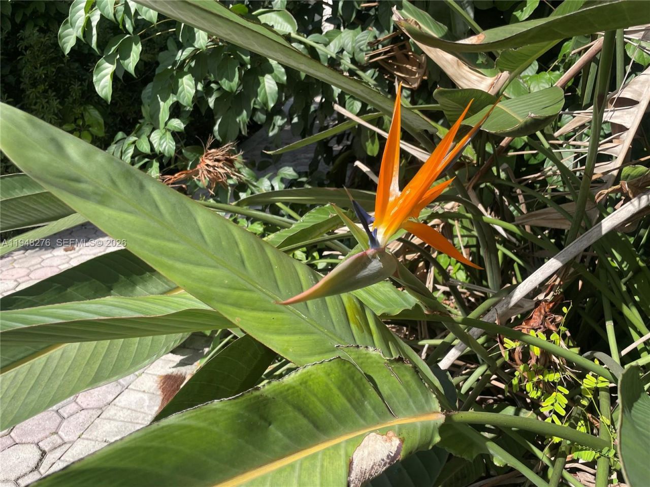 16930 SW 266th Ter, Homestead, FL 33031 Photo