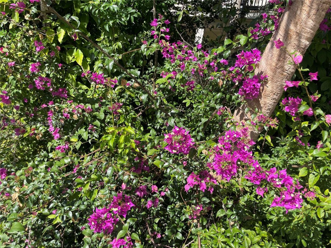 16930 SW 266th Ter, Homestead, FL 33031 Photo