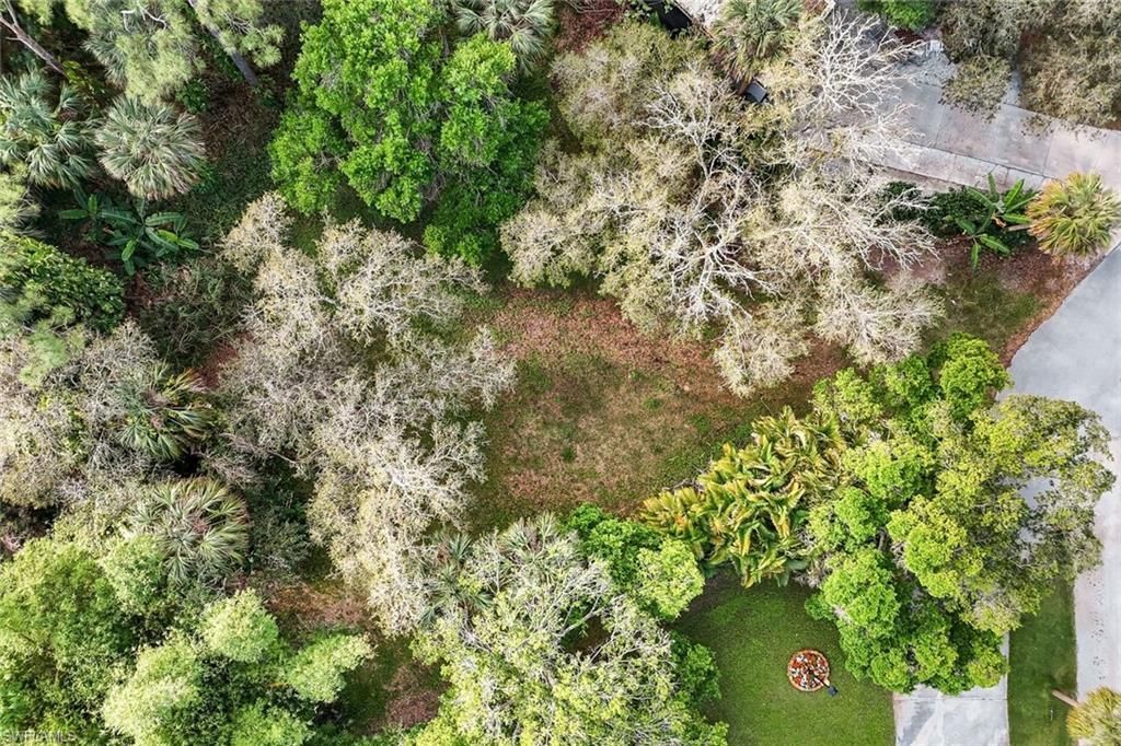 28038 E Brook Cir , Bonita Springs, FL 34135 Photo