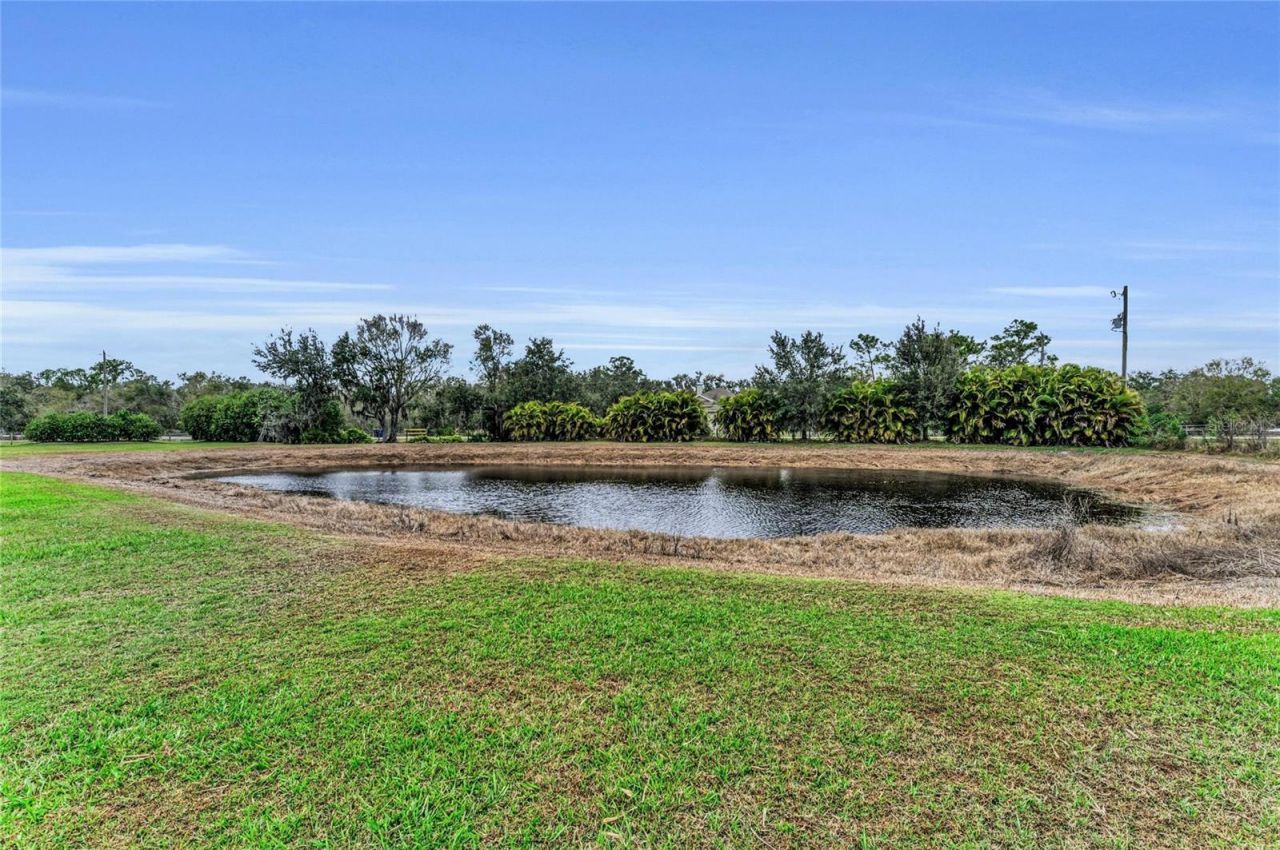 7605 257th Street E, Myakka City, FL 34251 Photo