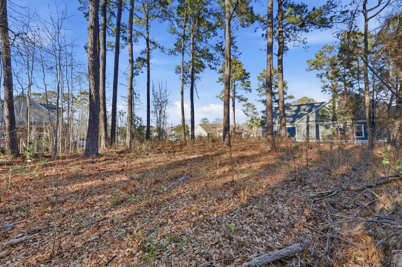 908 Rivers End Ct. Photo 6