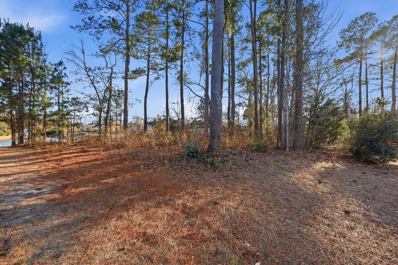 908 Rivers End Ct. Photo 8