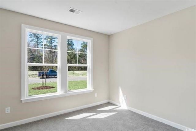 411 Starlit Way Photo 9