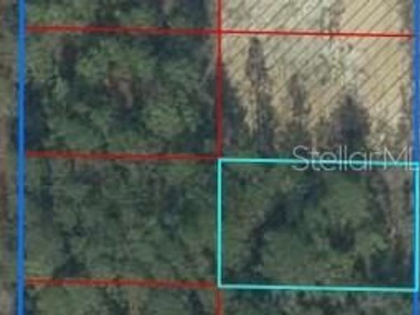TBD NE 148TH COURT, WILLISTON, FL 32696