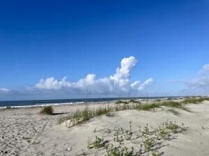 5802 Palmetto Drive Photo 3