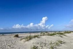 5802 Palmetto Drive photo 4