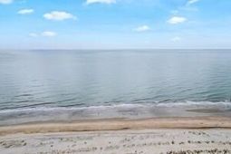 5802 Palmetto Drive photo 4