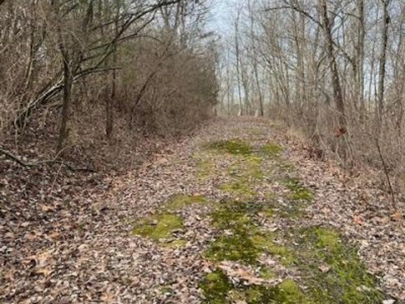 4 Grants Run Road, Williamsburg Twp, OH 45153 Photo 4