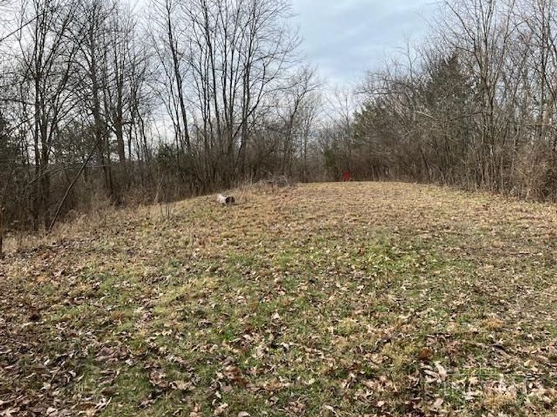 4 Grants Run Road, Williamsburg Twp, OH 45153 Photo 5