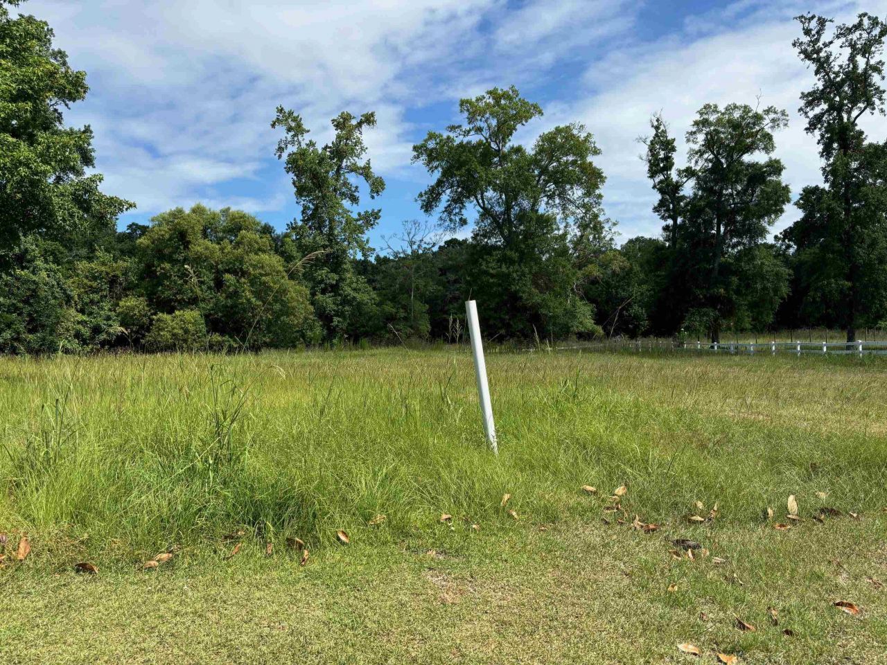 107 Triple Crown Ct.  Photo 10