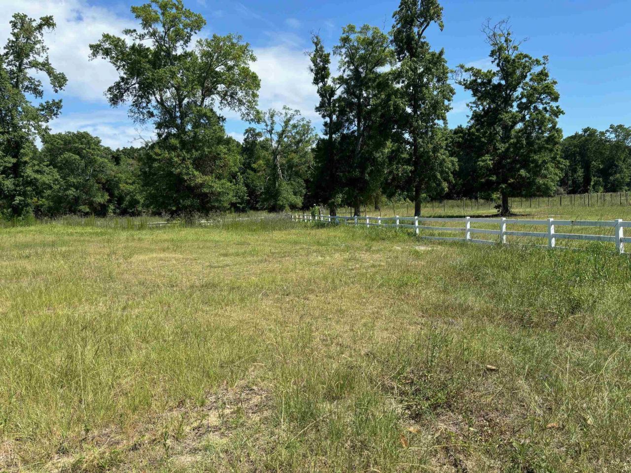 107 Triple Crown Ct.  Photo 5