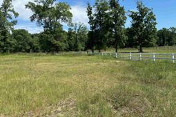 107 Triple Crown Ct.  photo 4