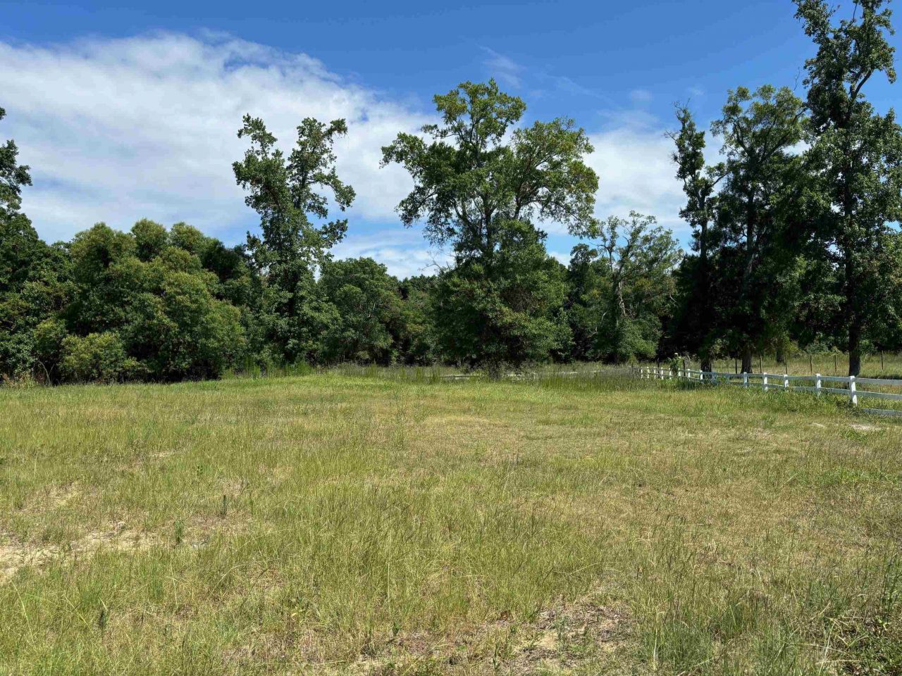 107 Triple Crown Ct.  Photo 6