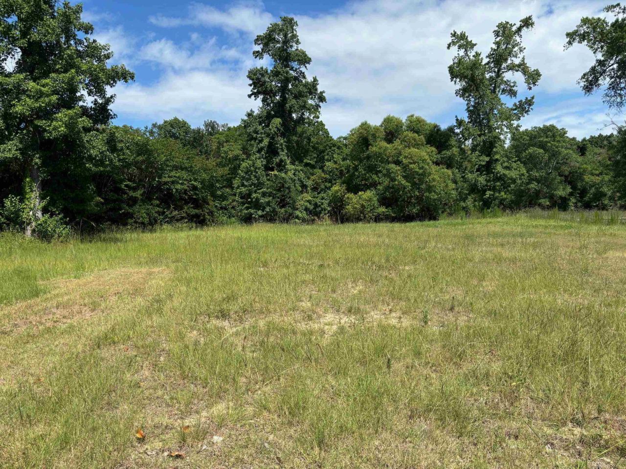 107 Triple Crown Ct.  Photo 7