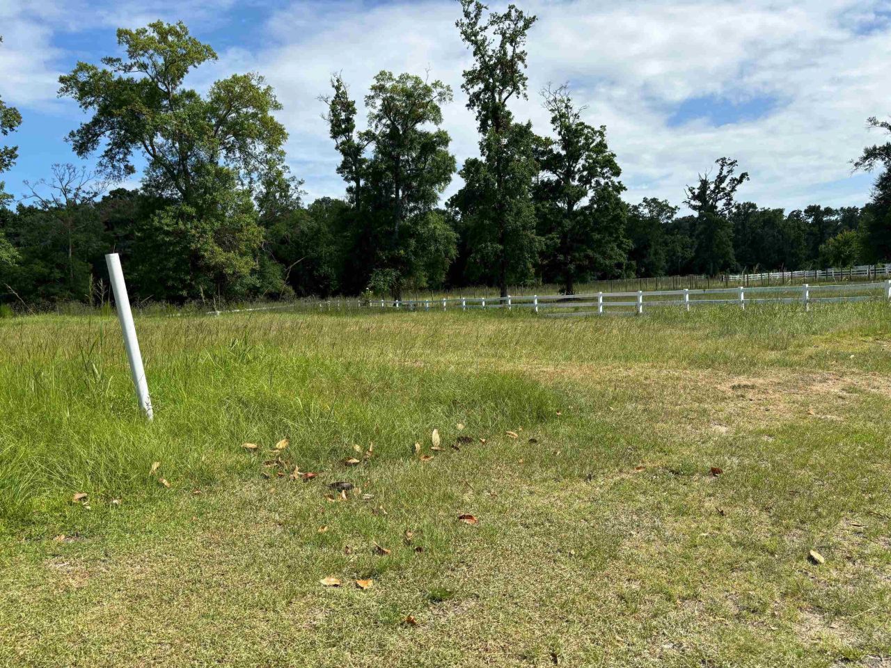 107 Triple Crown Ct.  Photo 8