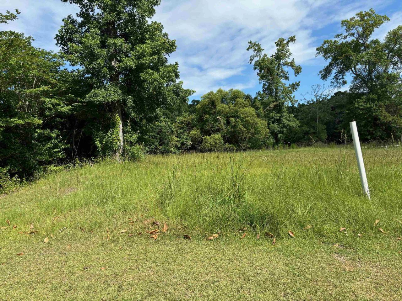 107 Triple Crown Ct.  Photo 9