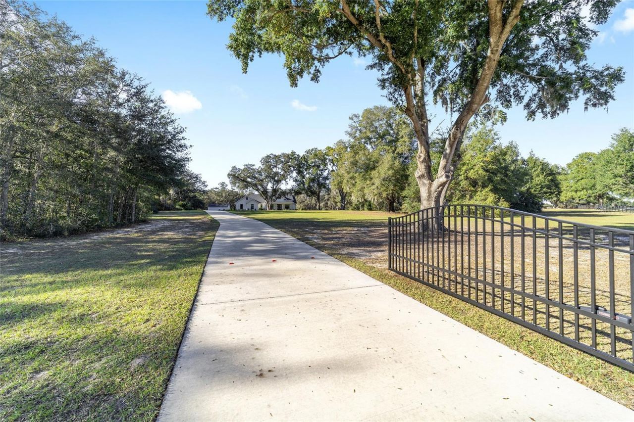 11638 SE 101st Court Road, Belleview, FL 34420 Photo