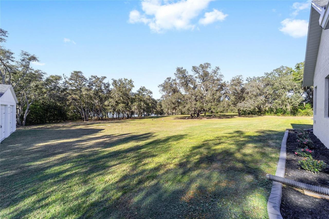 11638 SE 101st Court Road, Belleview, FL 34420 Photo