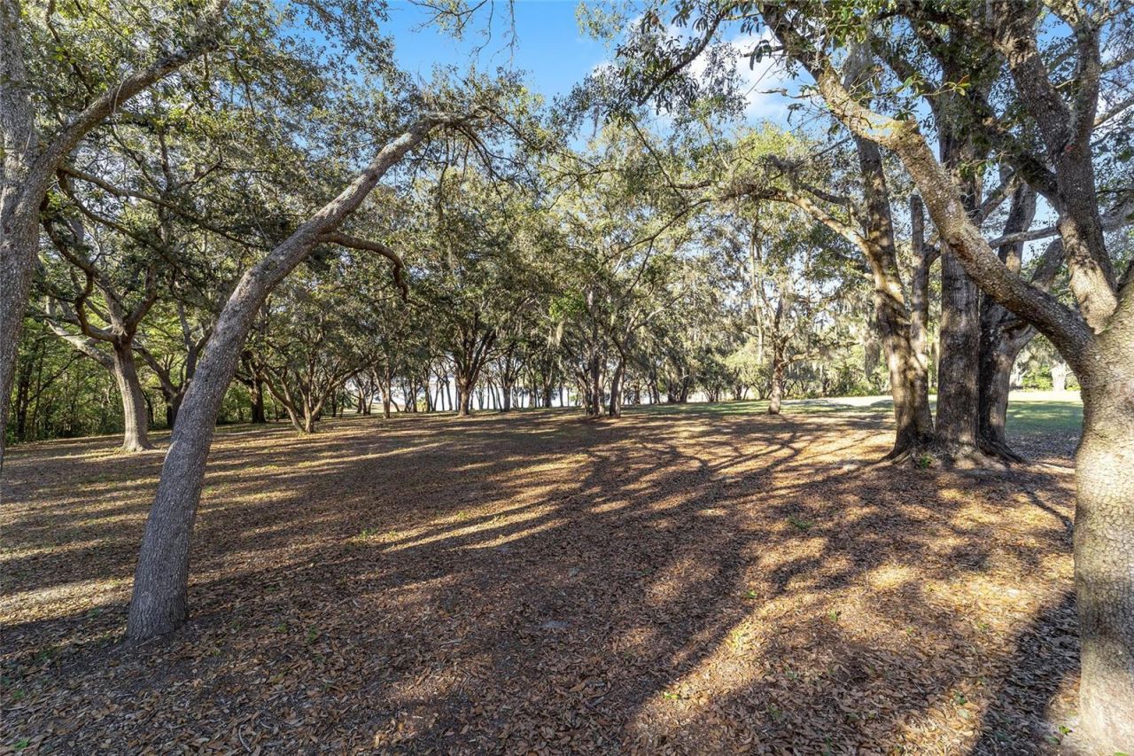 11638 SE 101st Court Road, Belleview, FL 34420 Photo