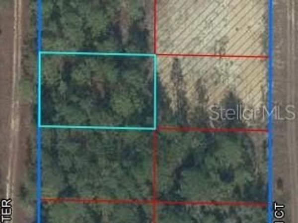 TBD NE 147TH TERRACE, WILLISTON, FL 32696