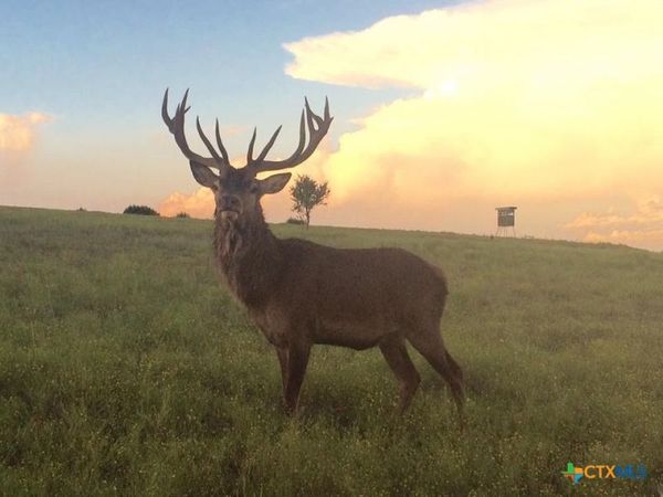 Tract 1 County Road 208, Lampasas, TX 76550