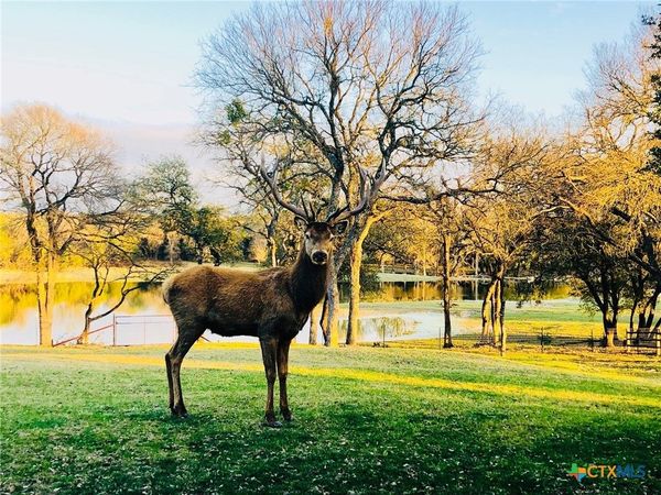 Tract 2 County Road 208, Lampasas, TX 76550