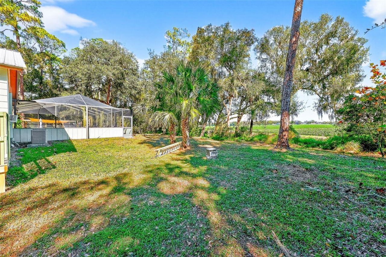 2635 N Dover Road, Dover, FL 33527 Photo