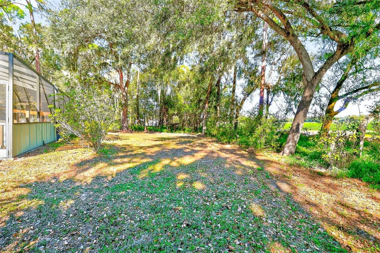 2635 N Dover Road, Dover, FL 33527 Photo