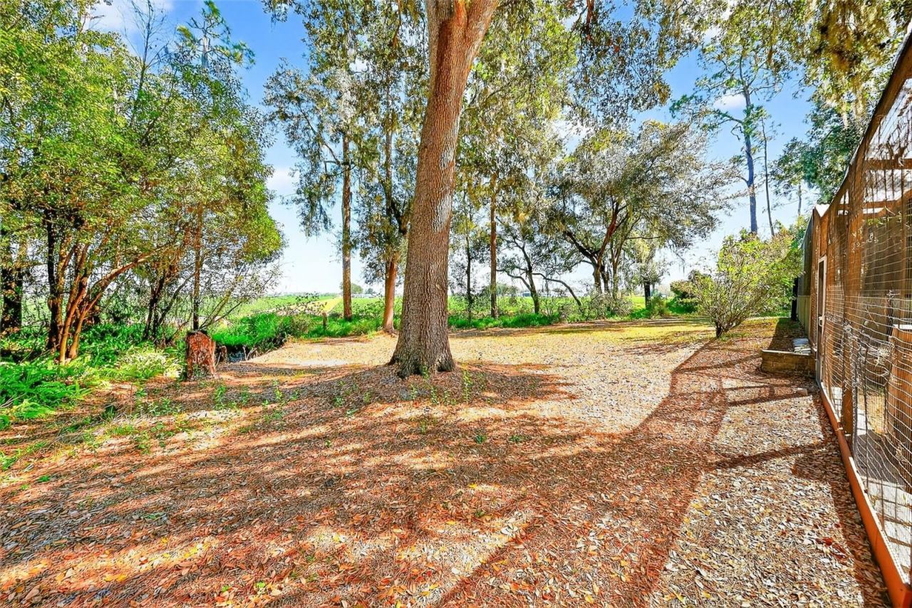 2635 N Dover Road, Dover, FL 33527 Photo