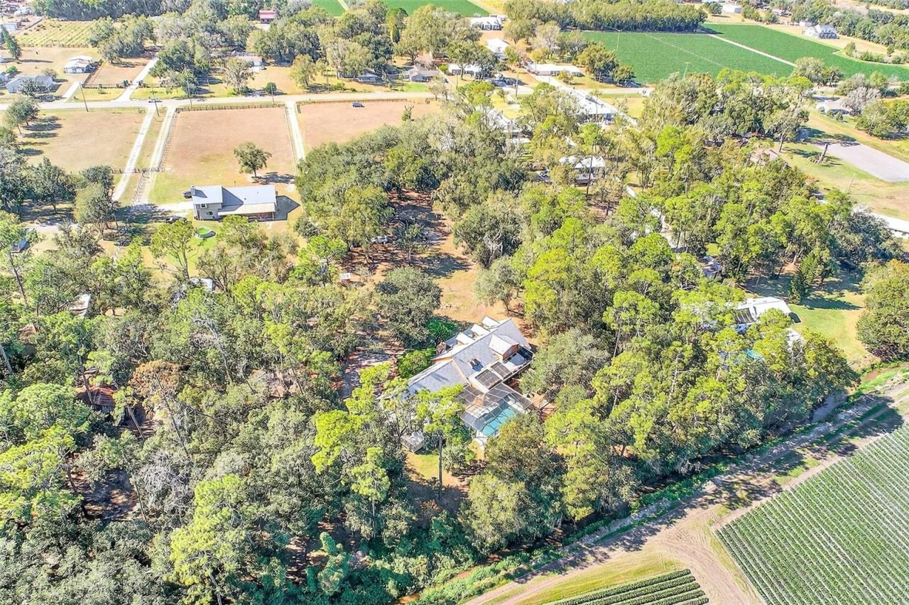 2635 N Dover Road, Dover, FL 33527 Photo