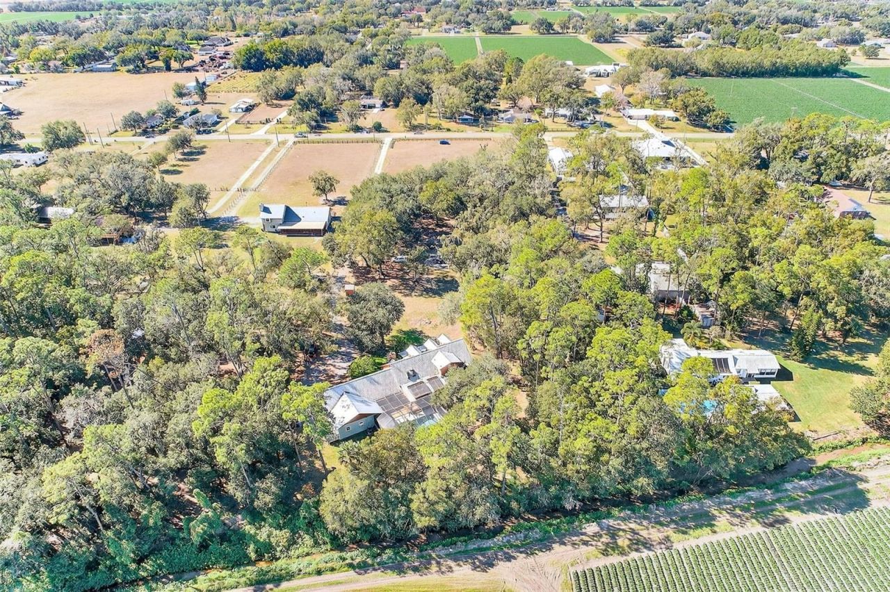 2635 N Dover Road, Dover, FL 33527 Photo