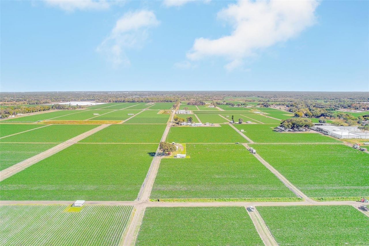 2635 N Dover Road, Dover, FL 33527 Photo