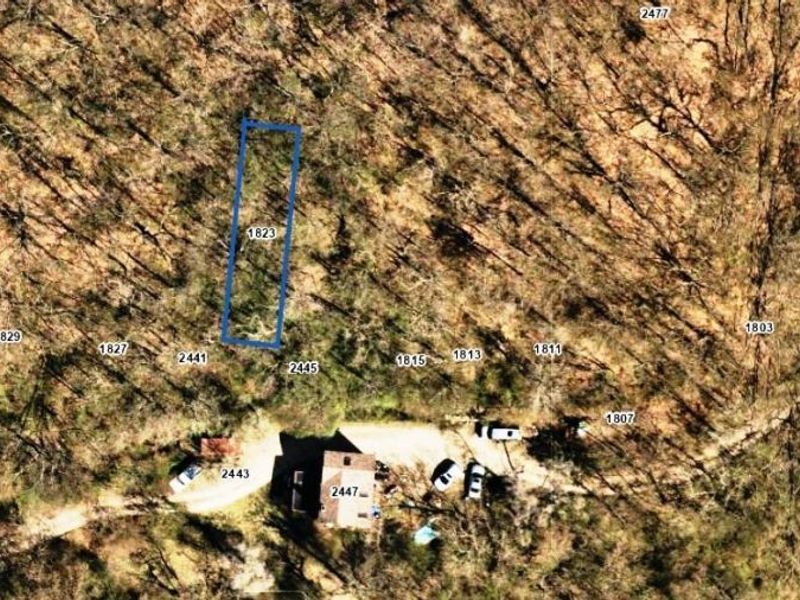 1823 Waverly Avenue, Cincinnati, OH 45214 Photo 3