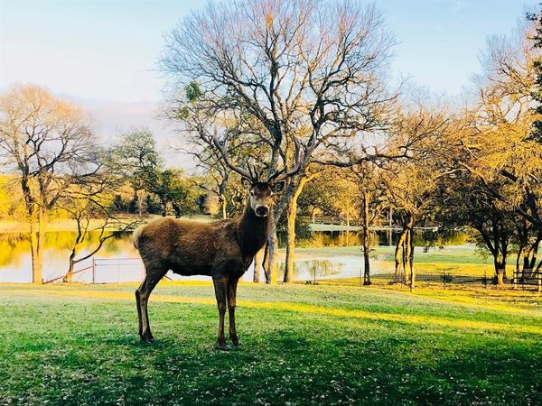 Tract 2 County Road 208, Lampasas, TX 76550