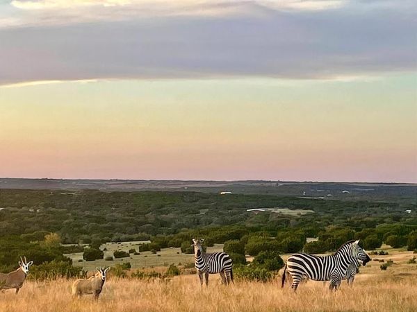 Tract 2 County Road 208, Lampasas, TX 76550