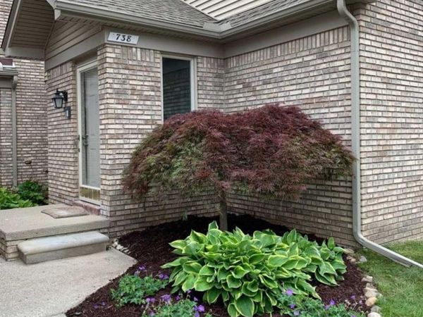 738 S Milford Road, Milford Vlg, MI 48381