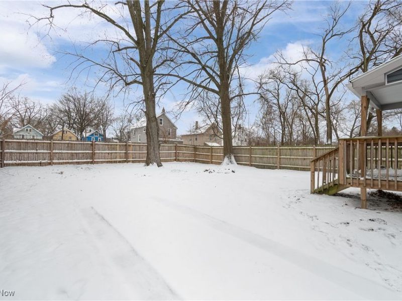 1133 Bellows Street, Akron, OH 44301 Photo 28