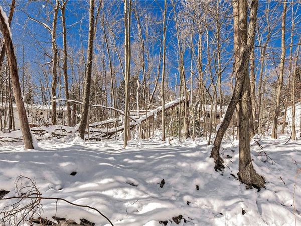 V/L #17 Chillicothe Road, Chagrin Falls, OH 44023