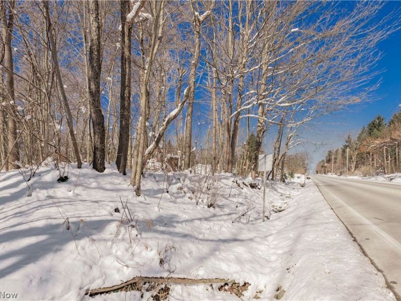 V/L #17 Chillicothe Road, Chagrin Falls, OH 44023 Photo 14