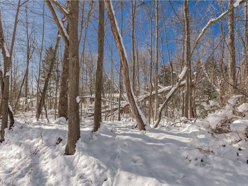 V/L #17 Chillicothe Road, Chagrin Falls, OH 44023 Photo 16