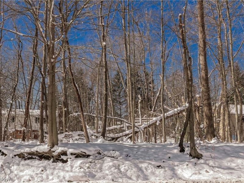 V/L #17 Chillicothe Road, Chagrin Falls, OH 44023 Photo 19