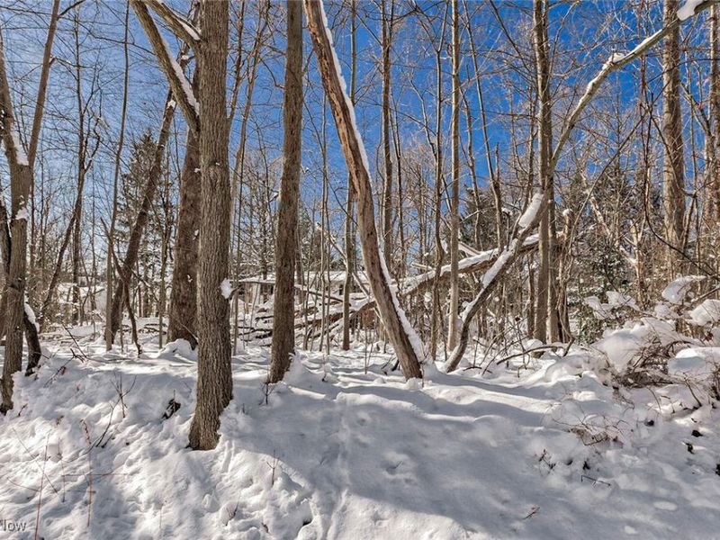 V/L #17 Chillicothe Road, Chagrin Falls, OH 44023 Photo 2