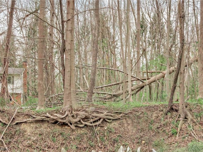 V/L #17 Chillicothe Road, Chagrin Falls, OH 44023 Photo 6