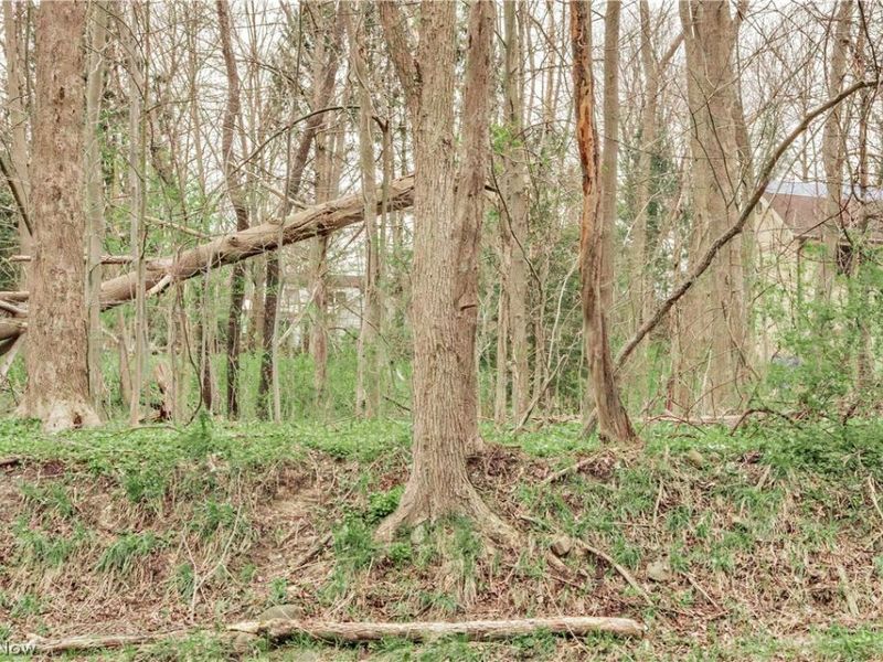 V/L #17 Chillicothe Road, Chagrin Falls, OH 44023 Photo 7