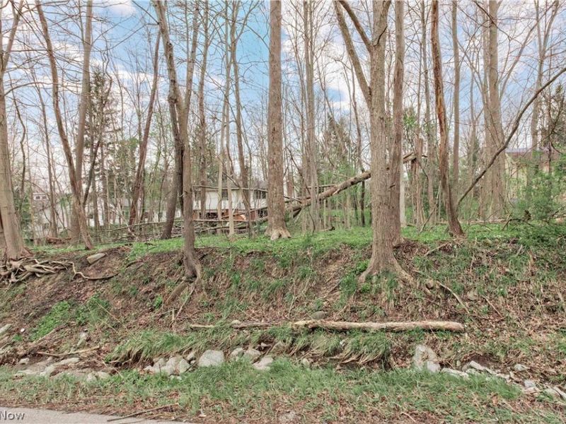 V/L #17 Chillicothe Road, Chagrin Falls, OH 44023 Photo 9