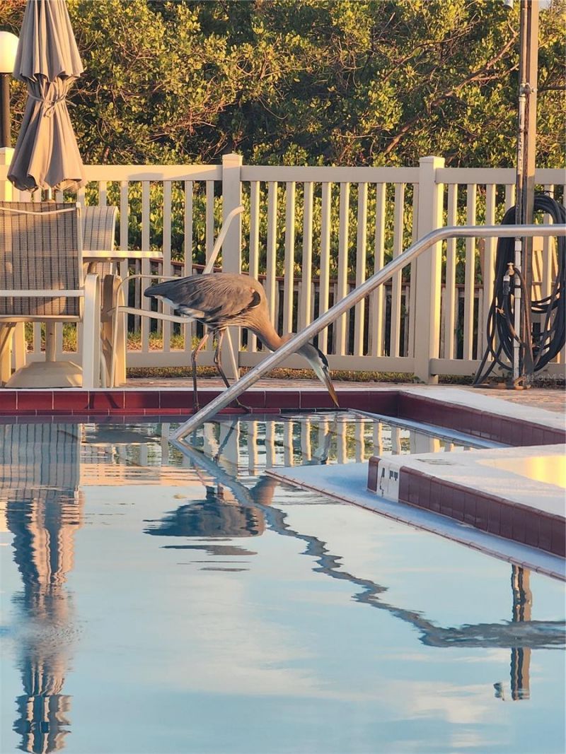 6361 Bahia Del Mar Boulevard, Unit 104, Saint Petersburg, FL 33715 Photo