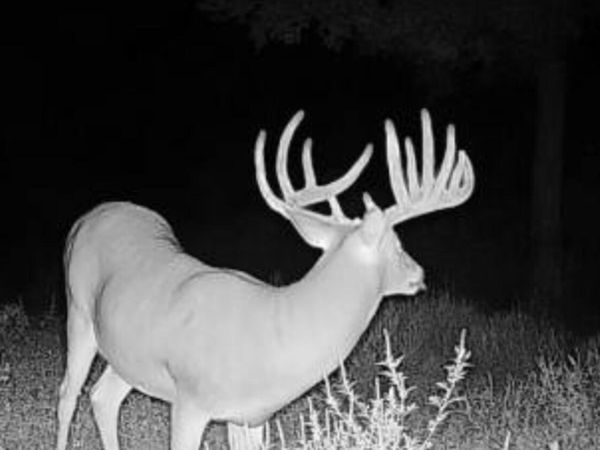 00 Farthing Road, Patoka, IL 62875