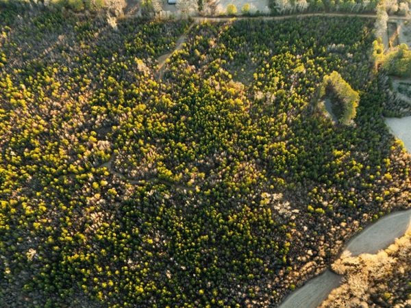 3885 Attala Road 4153 , Sallis, MS 39160